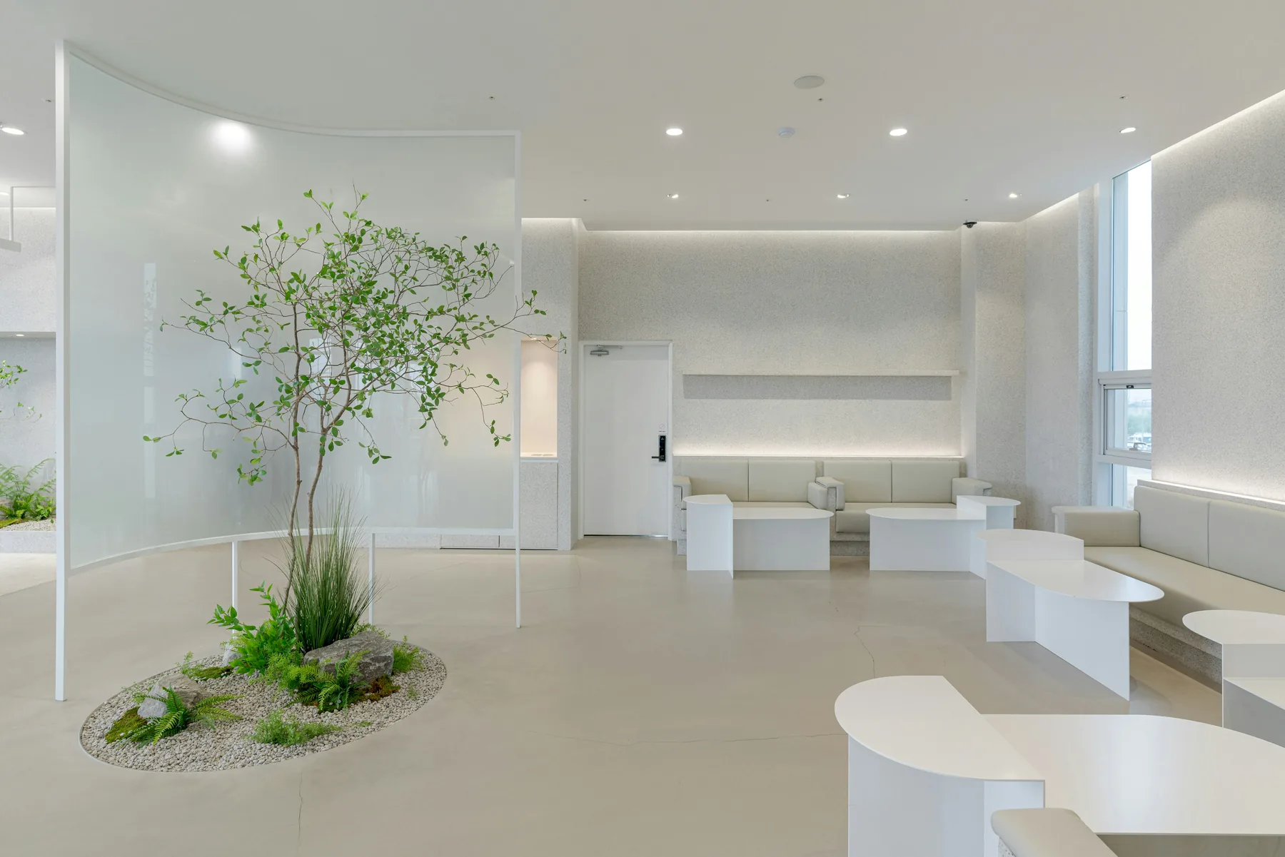 Bright minimal clinic reception with an indoor tree